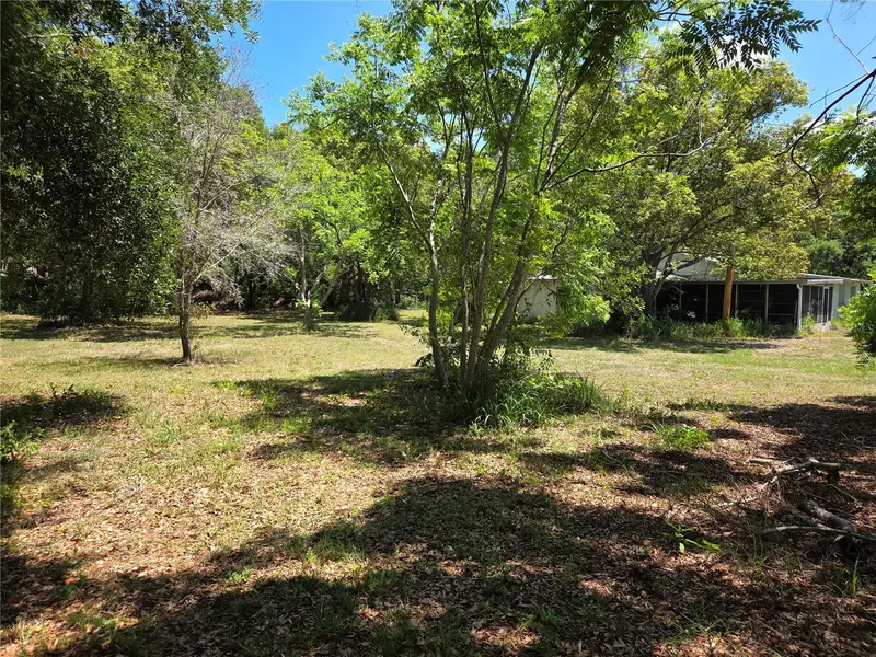3810 E Lumsden Rd, FL