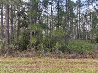 310&312 (Blk368 Lots 5&6) Alba Dr, FL