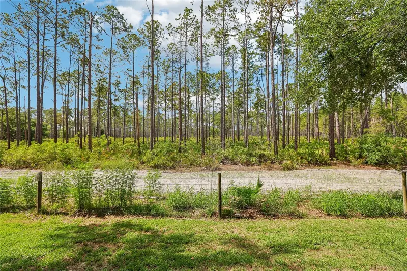 17702 Long Ridge Rd, FL