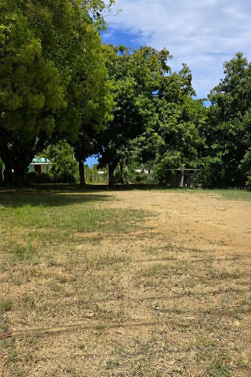 Barrio Puntas, PR