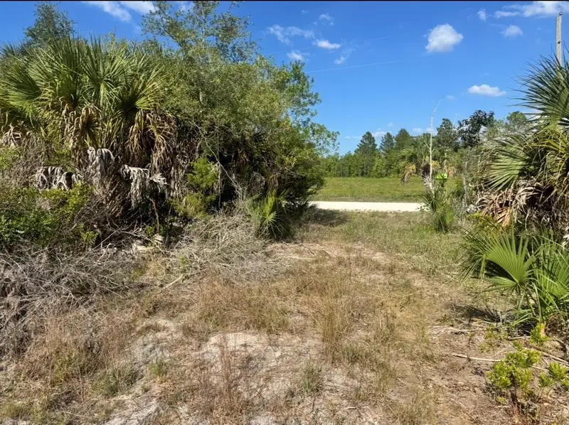 18455 Quiet Rd, FL