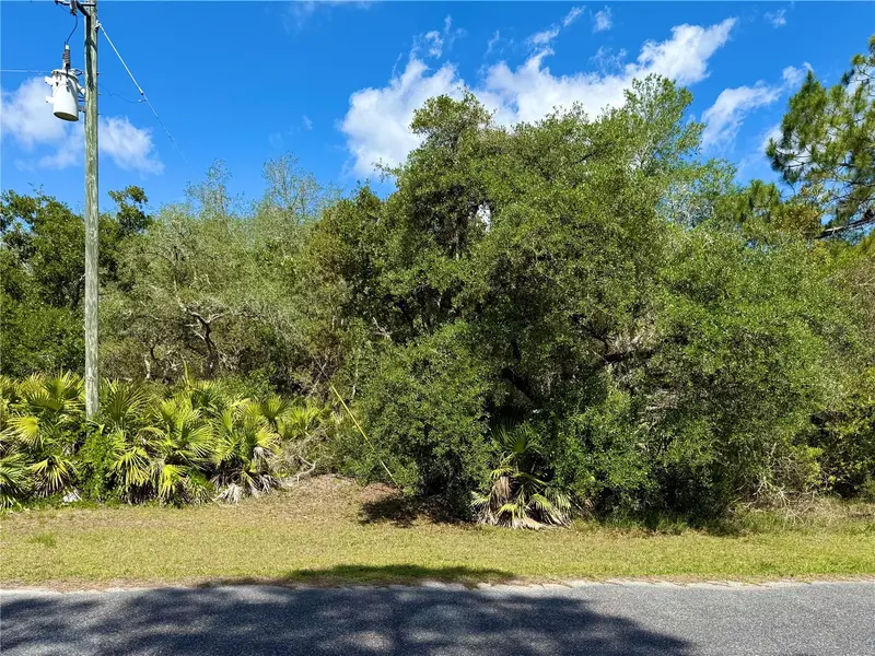 Lot 1 Jericho Trl, FL