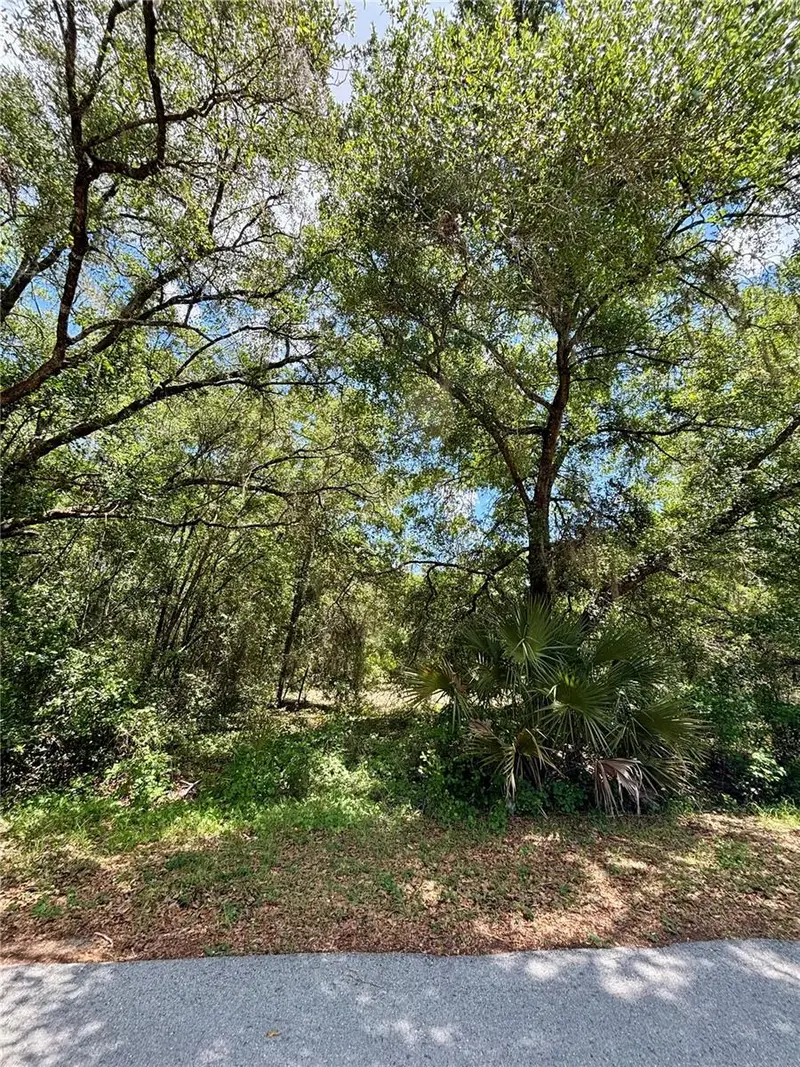 Lot 15 Sw Shorewood Dr, FL