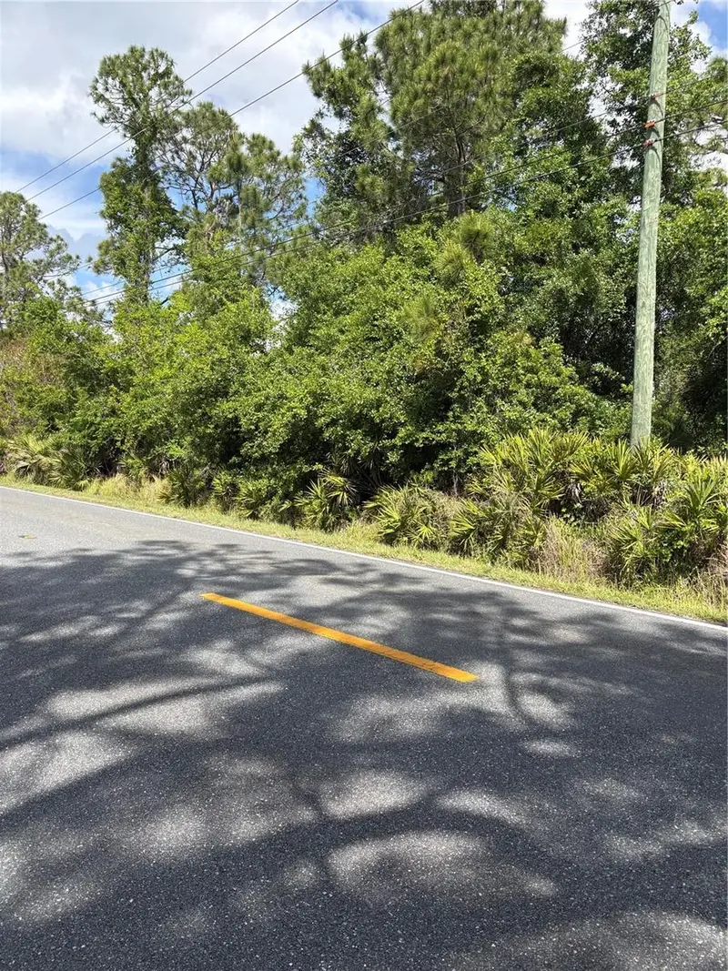 E Osceola Rd, FL