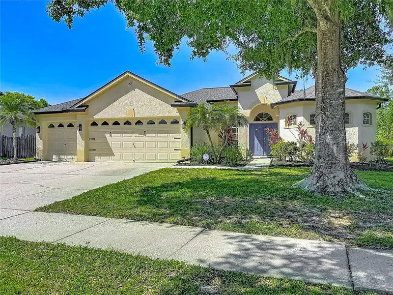 16923 Melissa Ann Dr, FL