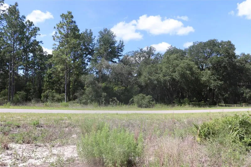Tbd Se 114th Pl, FL