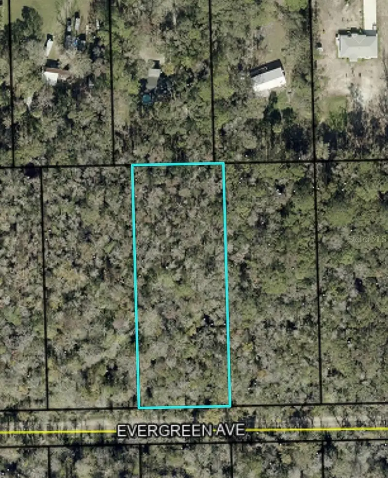 3740 Evergreen Ave, FL