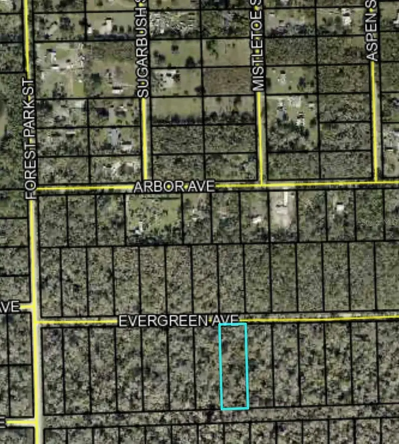 3741 Evergreen Ave, FL