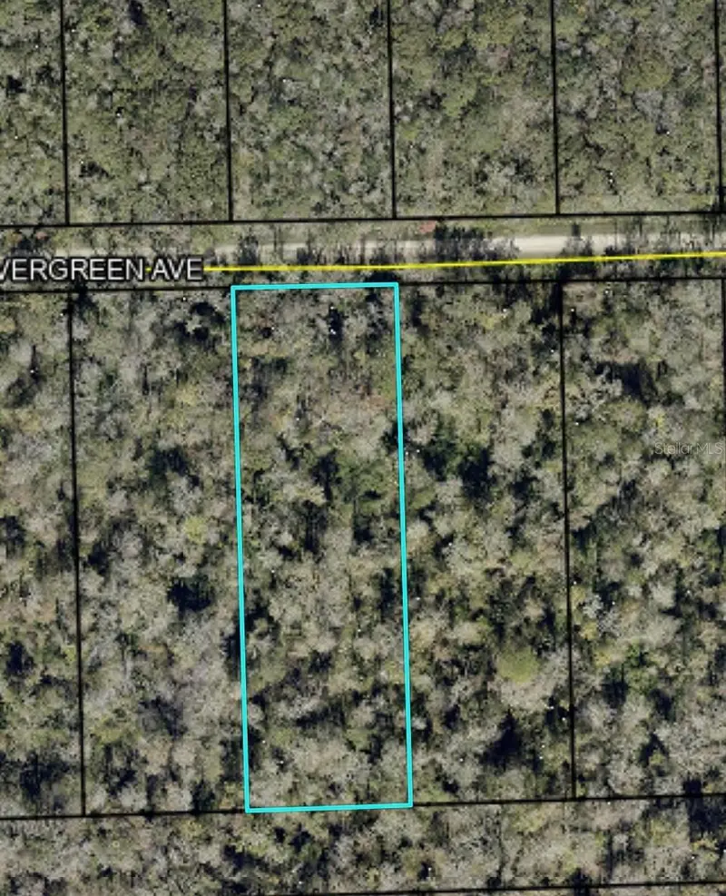 3655 Evergreen Ave, FL