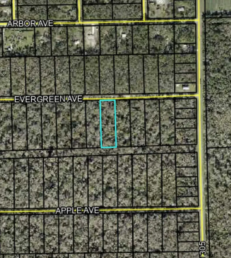 3655 Evergreen Ave, FL