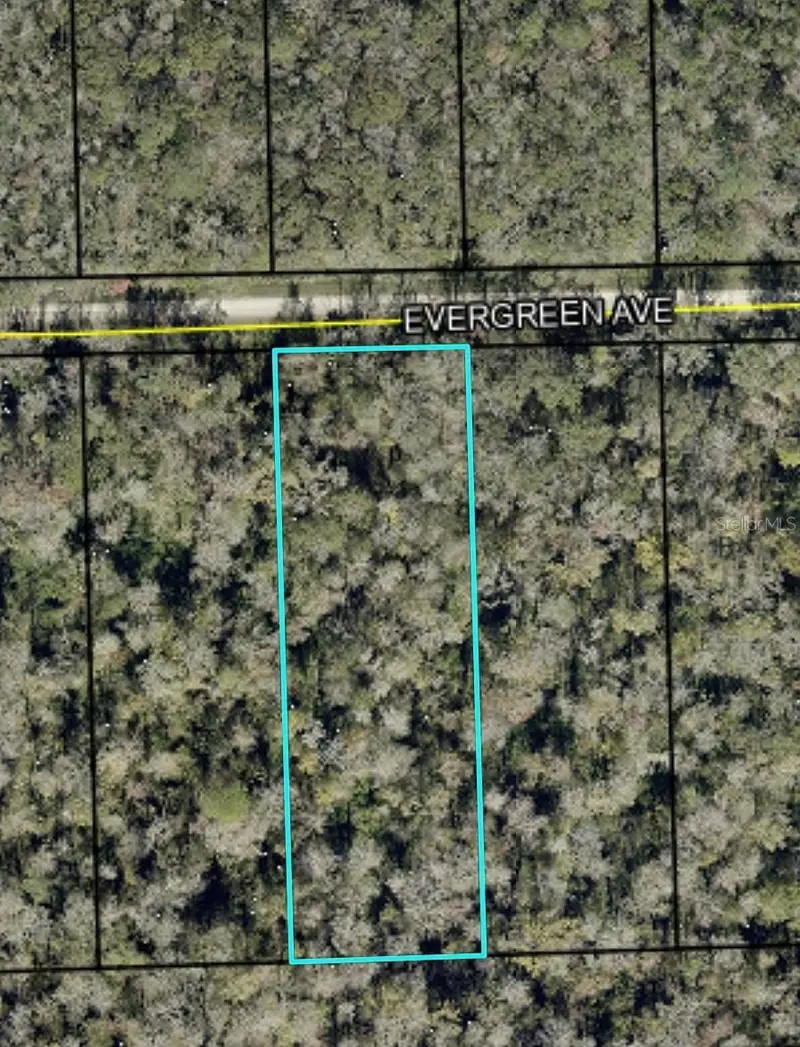 3599 Evergreen Ave, FL
