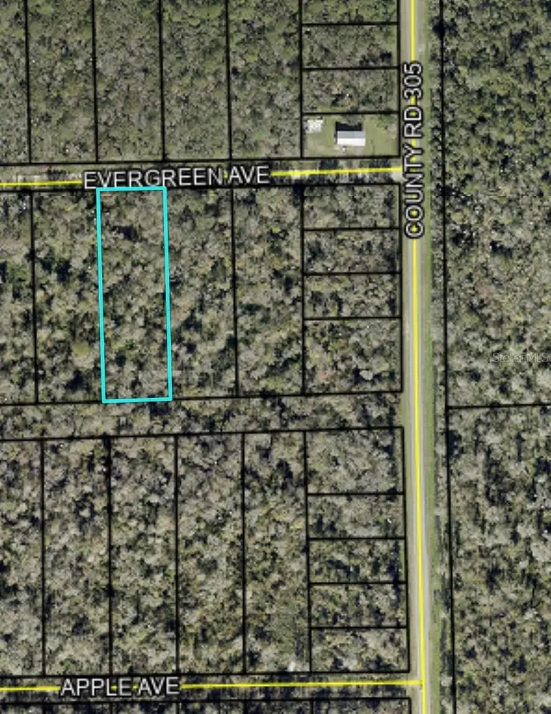 3599 Evergreen Ave, FL