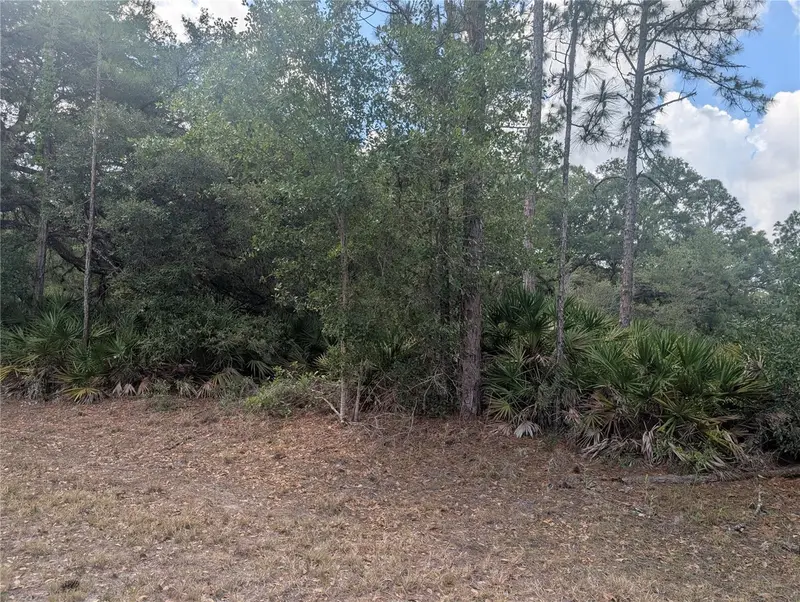 Allamanda Dr, FL