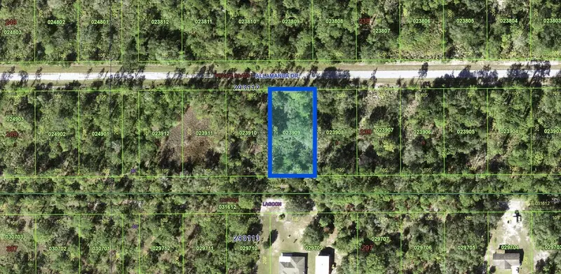 Allamanda Dr, FL