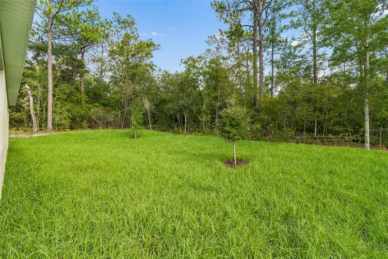 1591 Dolores, FL