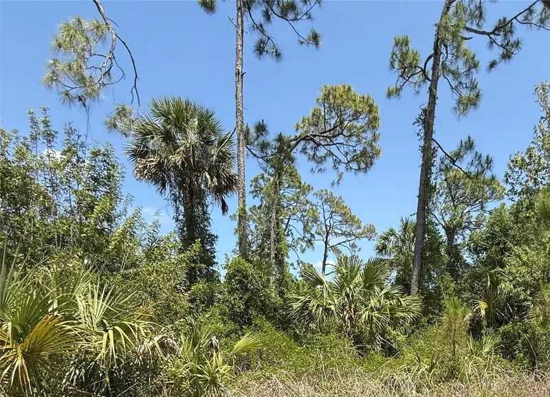 Lot 15 Coastal St, FL
