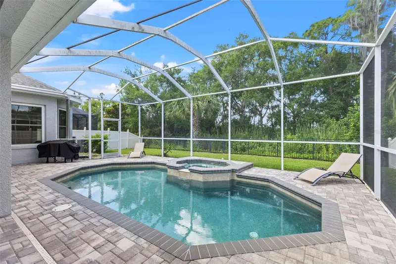 11621 Renaissance View Ct, FL