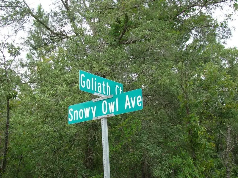 0 Goliath Ct, FL