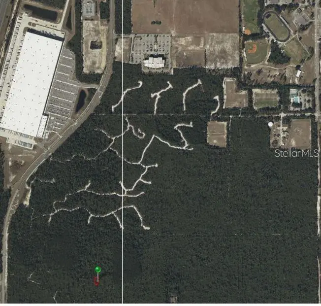 Belaire (Paper) Ave, FL