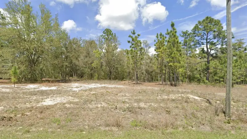 1907 W Corrine St, FL