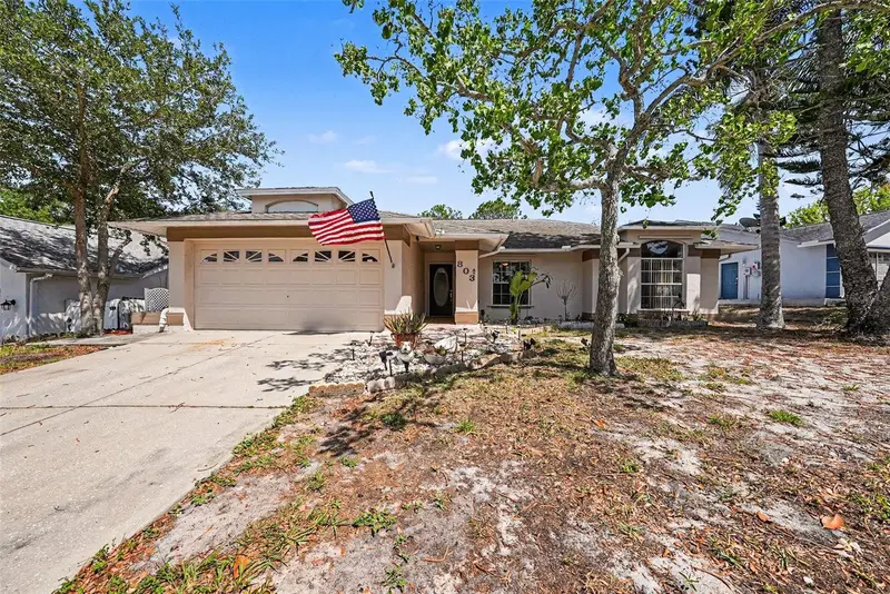 803 High Point Ct, FL