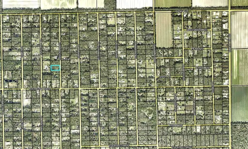 1352 Rosewood St, FL