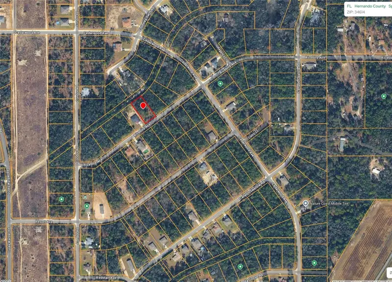 14041 Ricebird Ave, FL