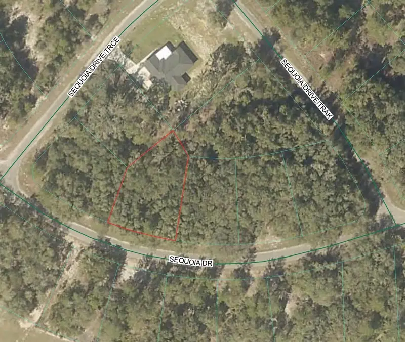 Sequoia Loop Dr, FL