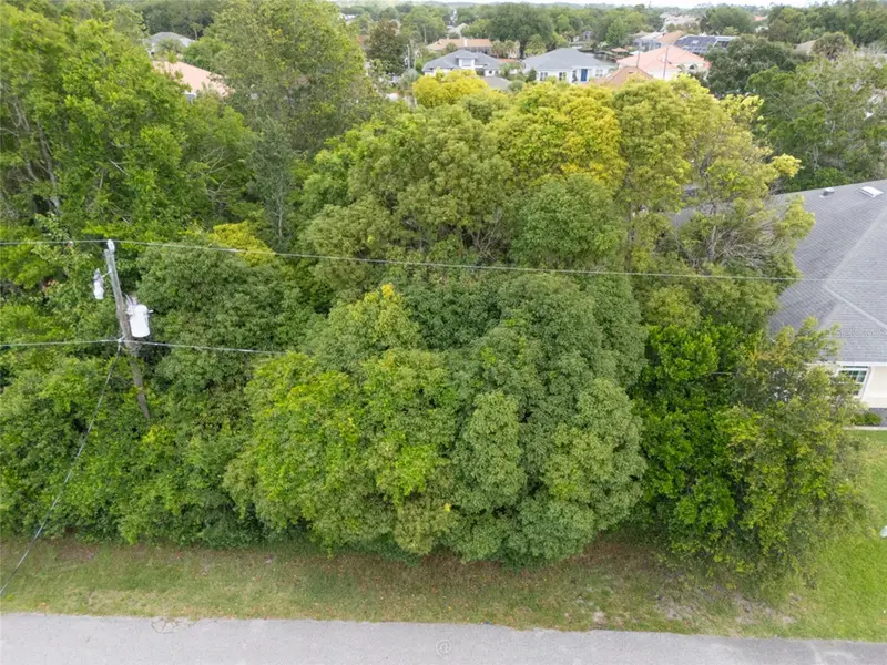 11 Commander Ct, FL