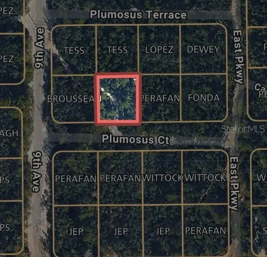 212 Plumosus Ct, FL