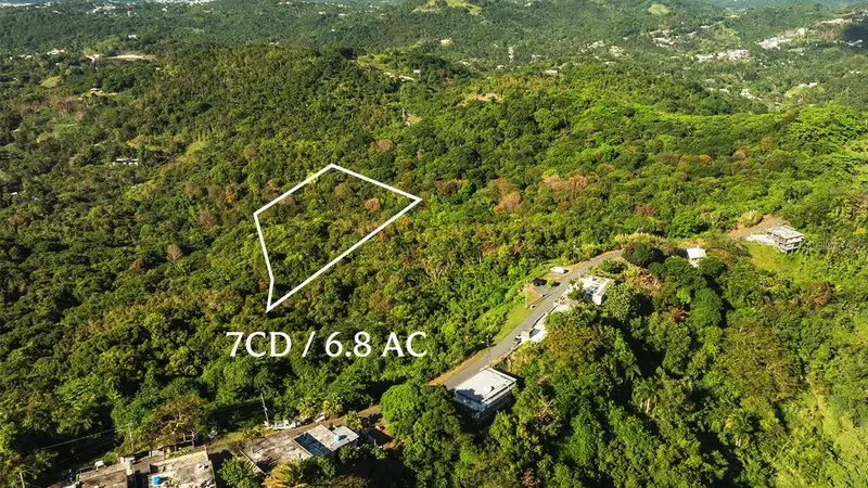 Carr 853 Bo. Cacao Lote 15, PR
