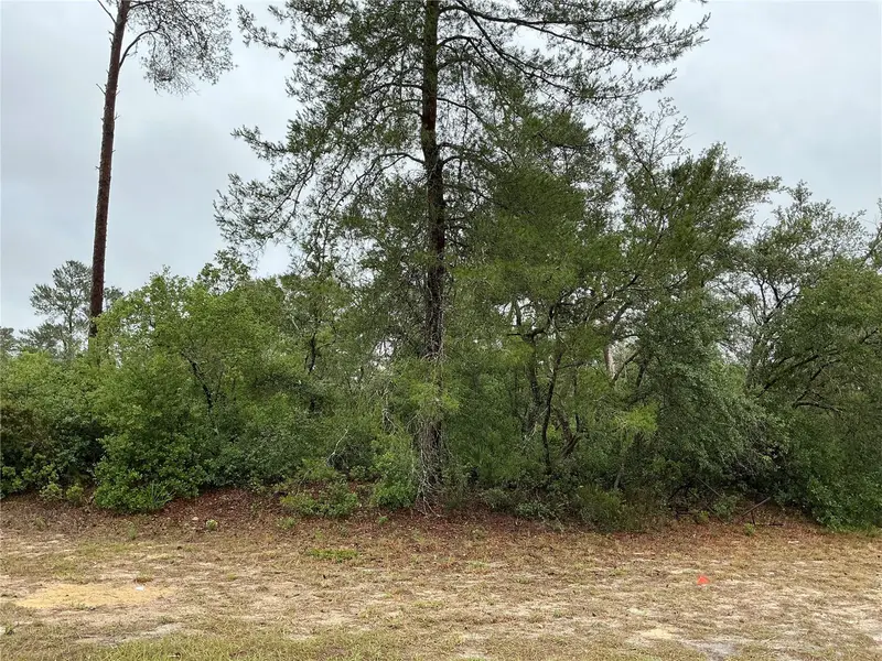 Sw 20th Ct, FL