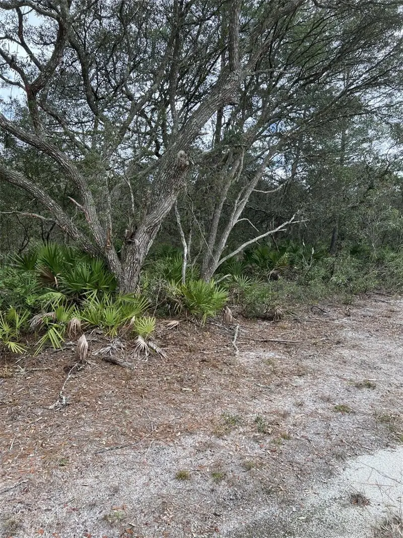 0 Ne 144 Ct, FL