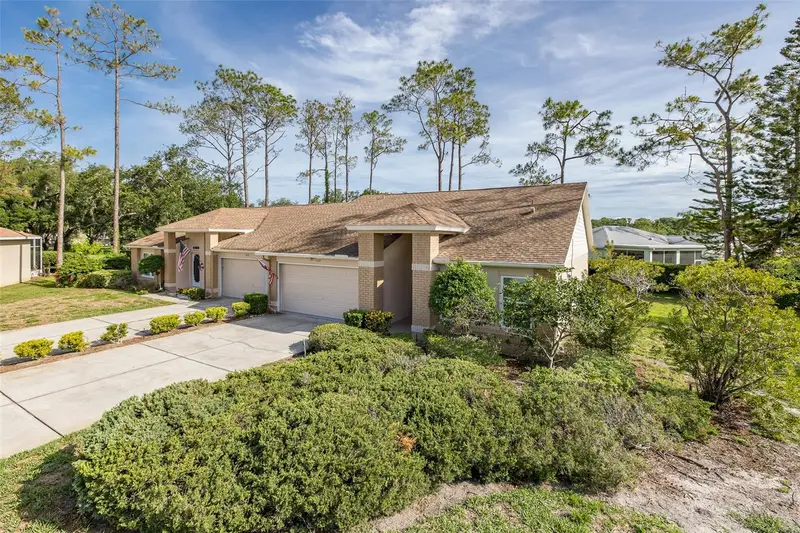 9519 Scenic Pine Ct, FL