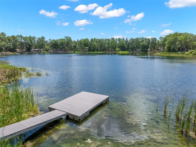 17309 N Dale Mabry Hwy, FL