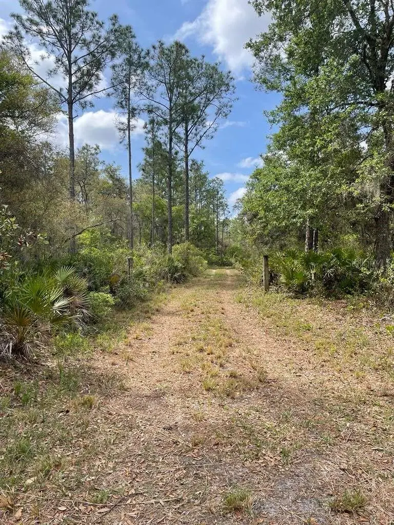 E Hwy 318, FL