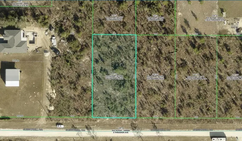 Scissorbill Avenue Lot #18, FL