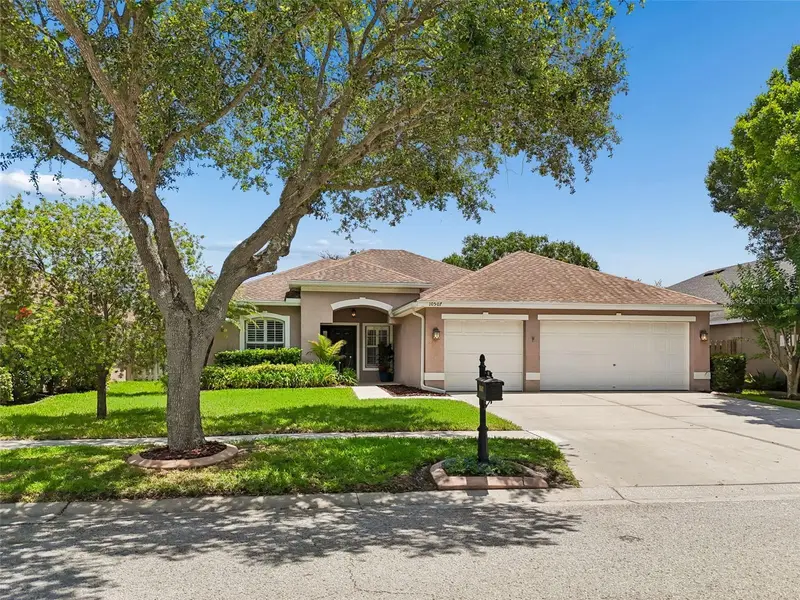 10507 Weybridge Dr, FL