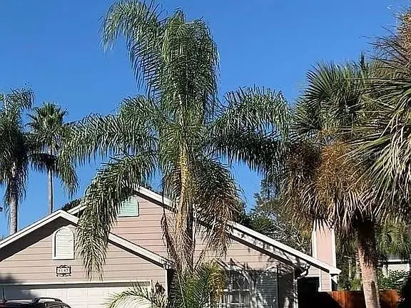 1043 Seabreeze Ave, FL