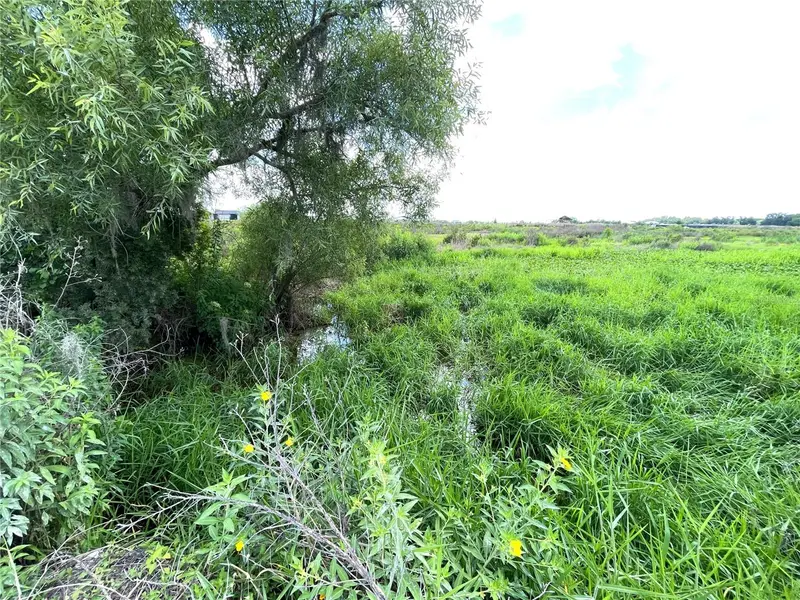 Wauchula Rd, FL
