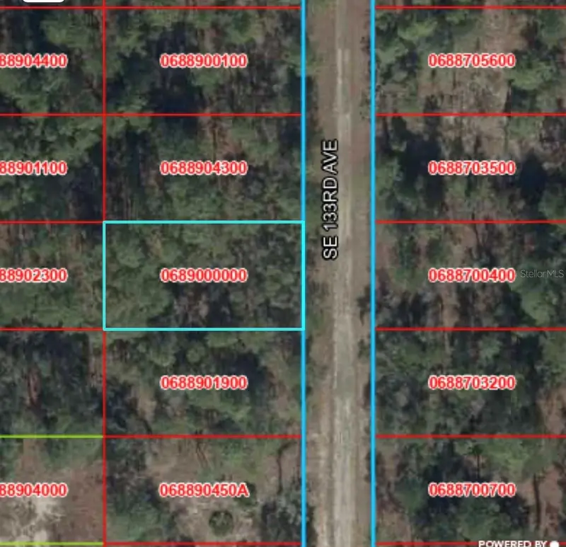 Tbd 133rd Ave, FL