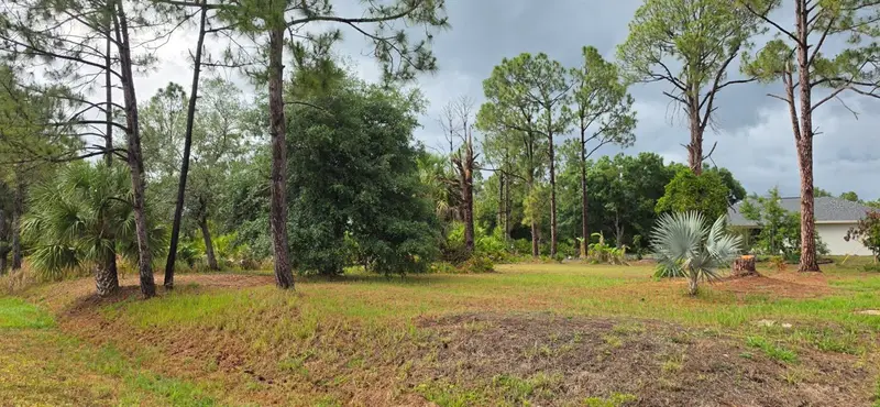 Lot 41 Perennial Rd, FL