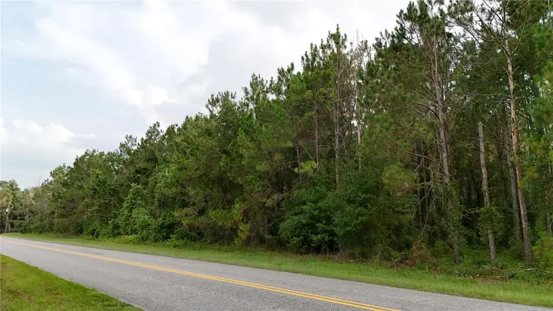37625 N County Road 44a, FL