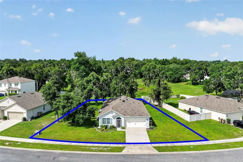 10521 Bronze Leaf Ct, FL