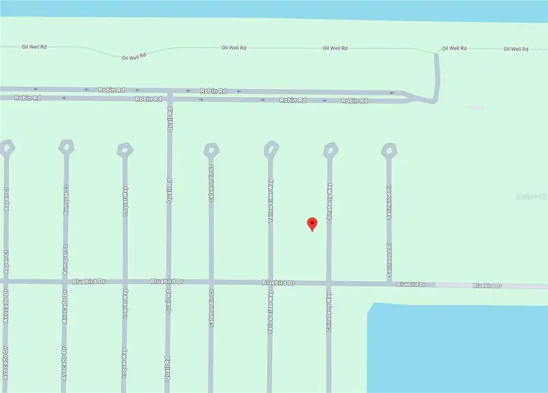 23 Chinaberry Way, FL