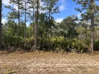 1013 (Blk 299 Lot 18) Alba Dr, FL