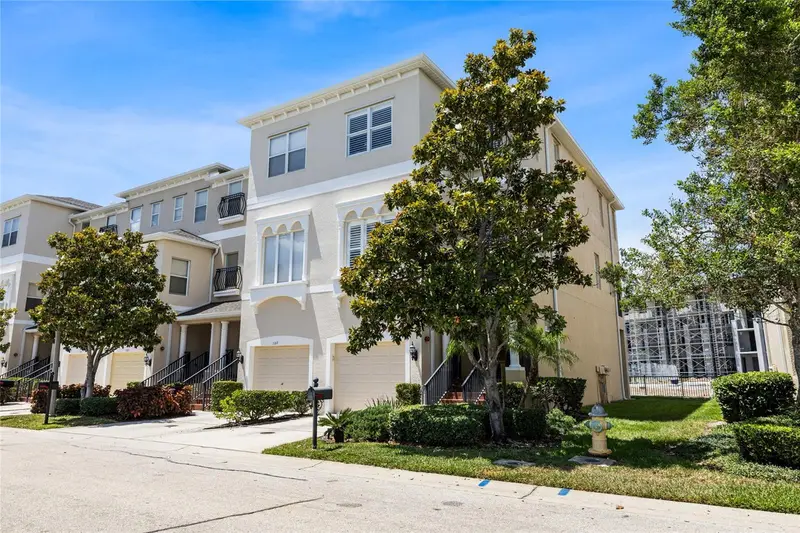 1171 Venetian Harbor Dr Ne, FL
