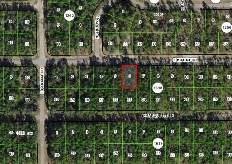 546 E Bimini Dr, FL