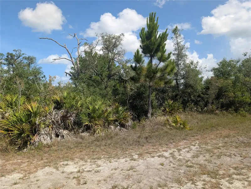 Lakeland Dr, FL