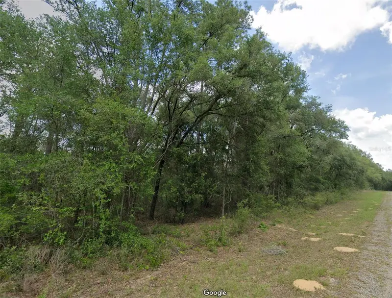 737 E Byrd Loop, FL